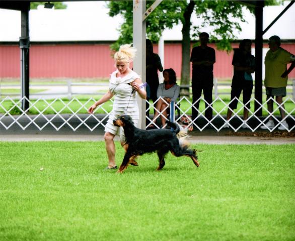 NCGSC_2012_Speciality.jpg